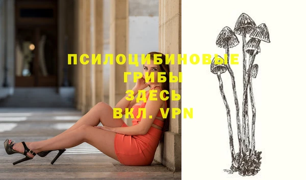 PSILOCYBIN Балабаново