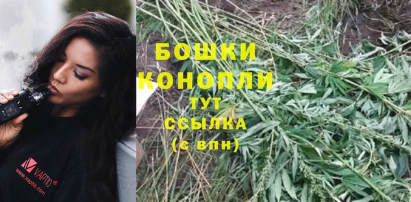 PSILOCYBIN Балабаново