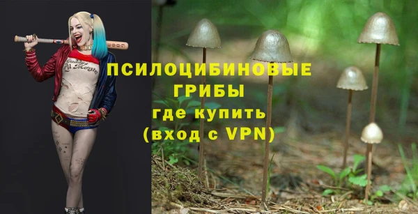 дживик Балахна