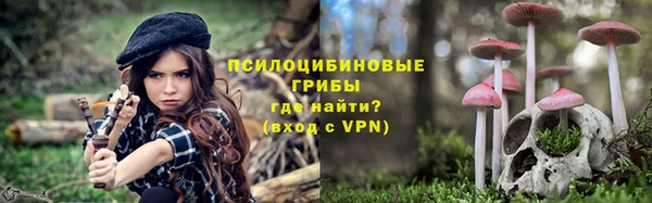 дживик Балахна